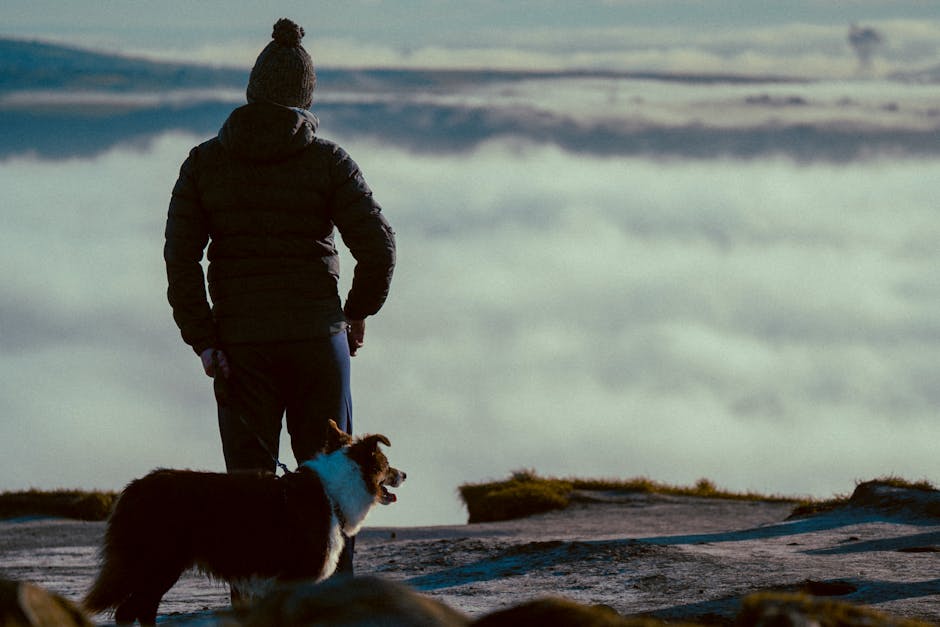 image from Best Uk Winter Staycations