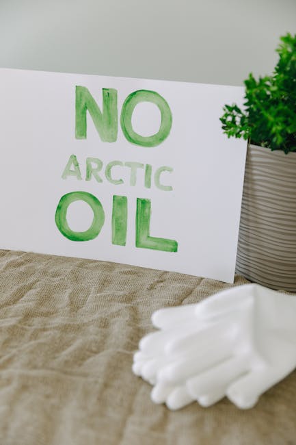 Citibank International Card