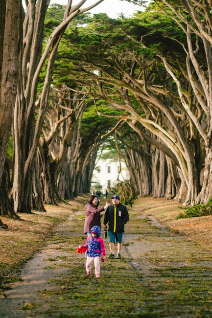 Family Trip To California Itinerary