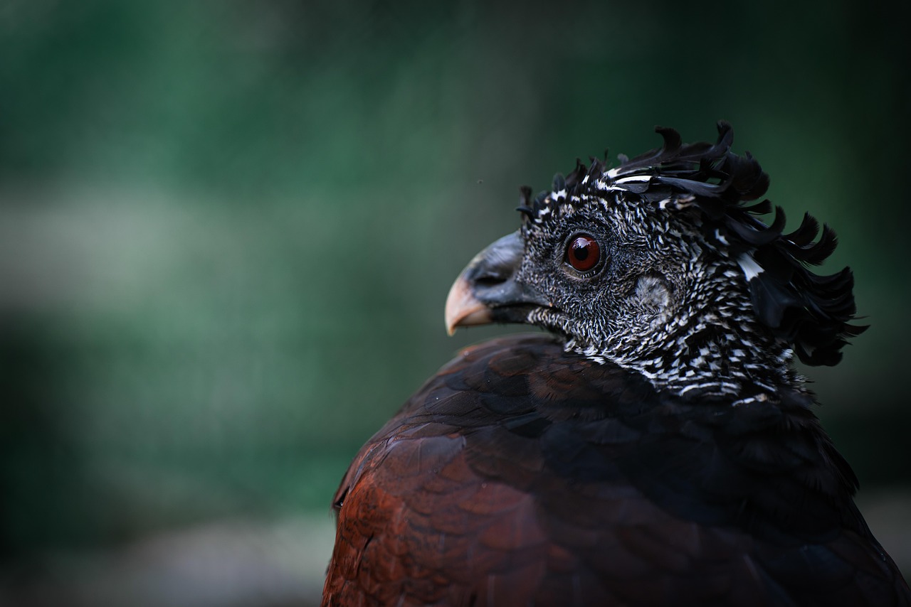 Great Places To Travel During Christmas