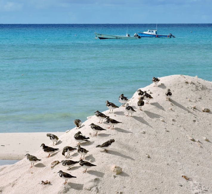 Jet2holidays Caribbean