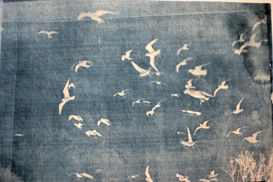 Jsx Alternatives Flights