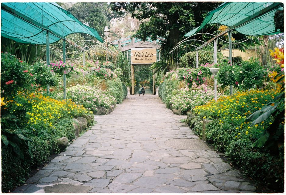 Orchid Inn Angeles City Review