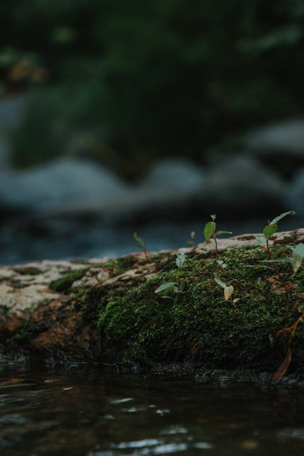 Sedona To Petrified Forest