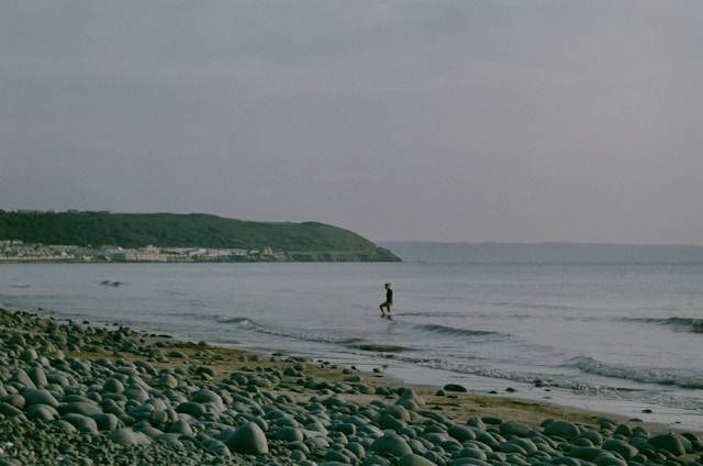 Westward Ho! Dog Friendly Accommodation