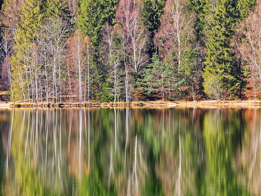 Where To Stay In Transylvania