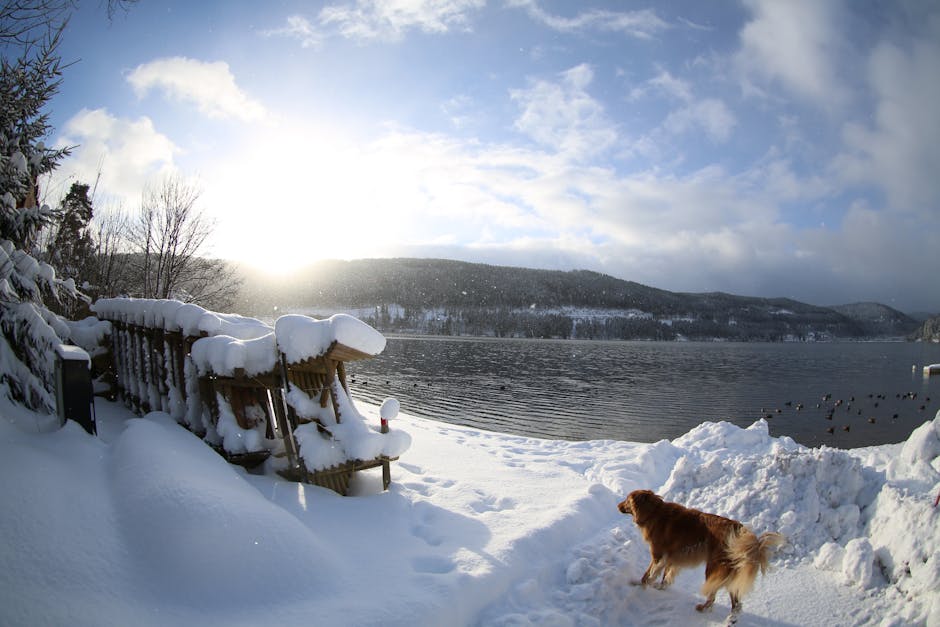 Winter Sun Vacations