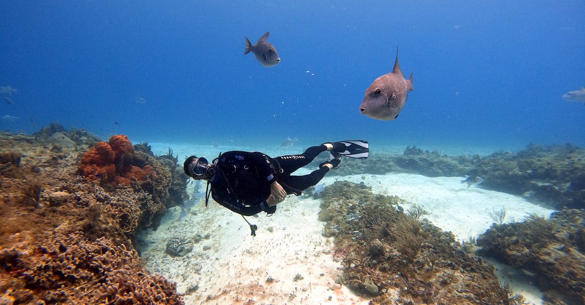 cheap holidays to Mexico