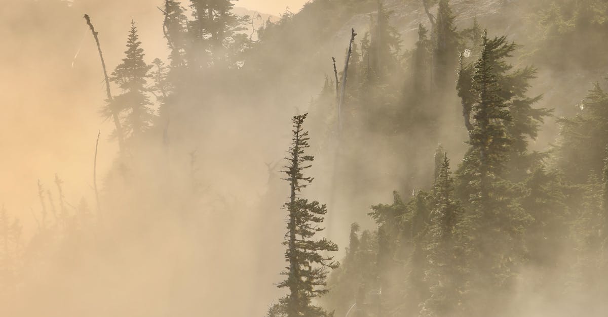 cheap holidays to columbia