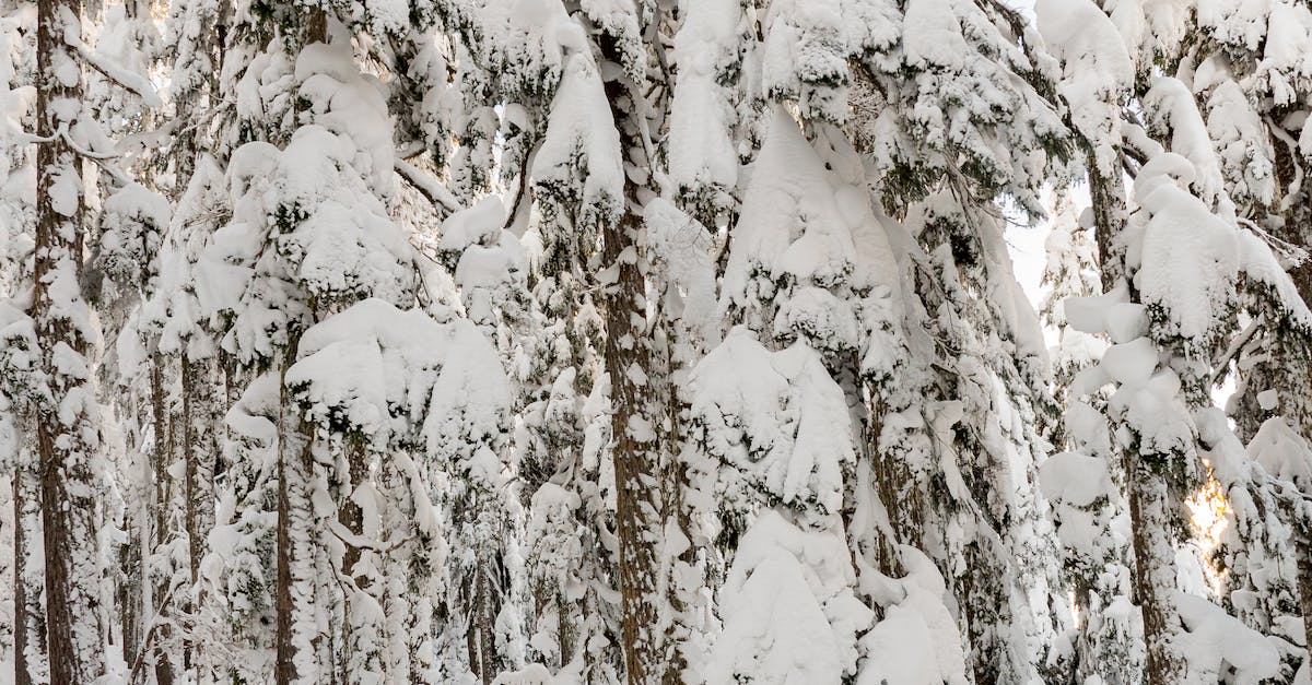 cheap holidays to columbia