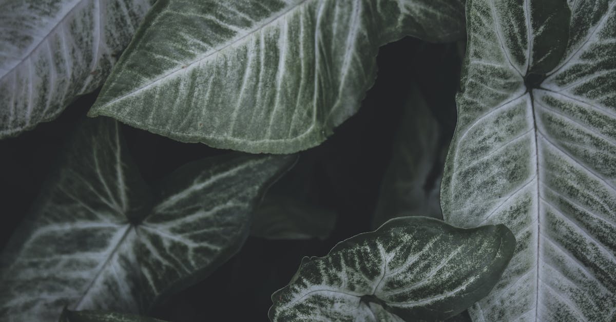 cheap holidays to columbia