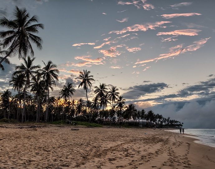 A Guide to the Unique Cuisine of the Dominican Republic