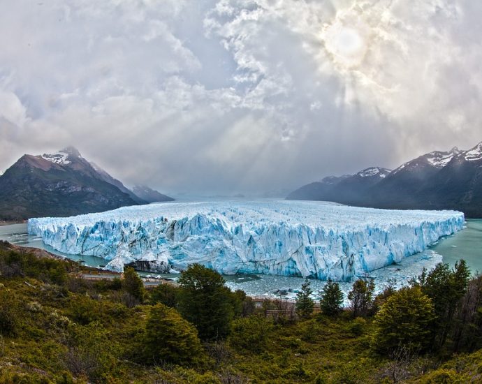 Argentina's Infrastructure Development: A Look at Recent Projects