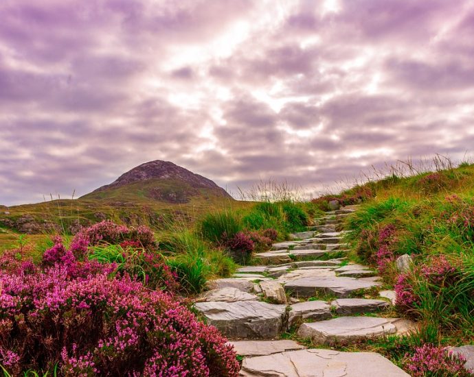 The History of Ireland: A Tale of Culture and Tradition