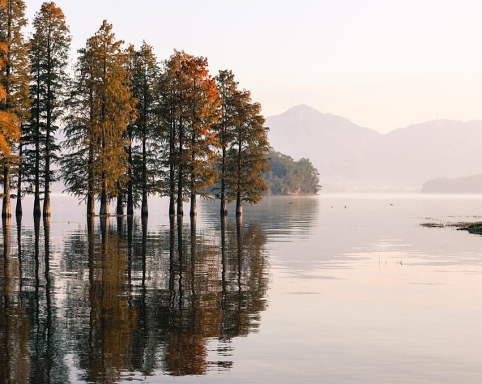 Exploring the Natural Beauty of Finland