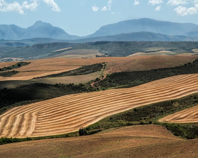 A Journey Through the Landscapes of Western Africa