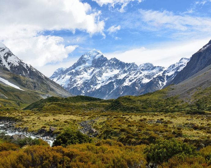 Discover the Beauty and Diversity of New Zealand