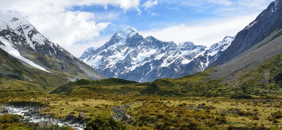 Discover the Beauty and Diversity of New Zealand