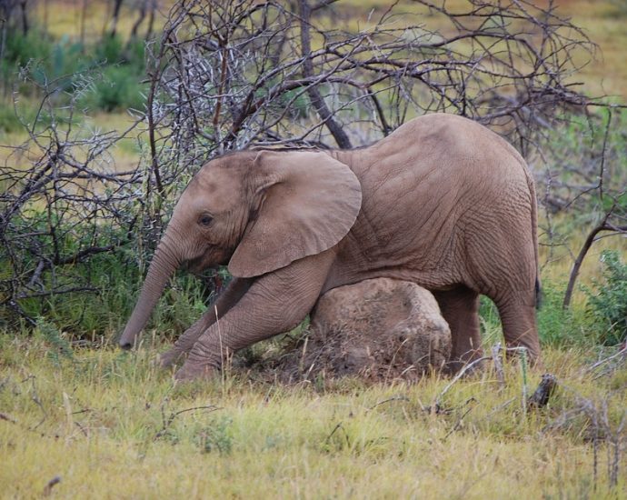 A Journey Through the Spectacular Landscapes of Eastern Africa