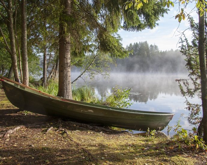 The Amazing Cuisine of Finland