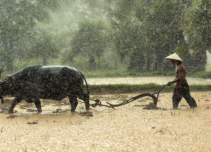 Malaysia: A Land of Diversity and Natural Wonders