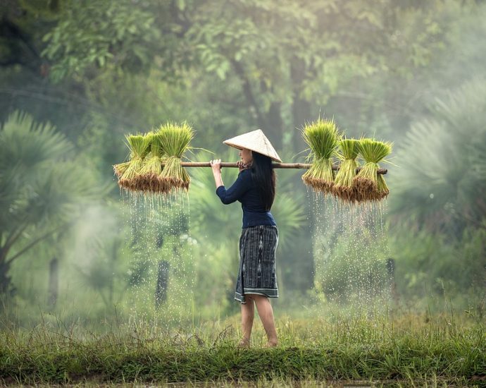 A Journey Through Malaysia: Exploring its Unique Culture