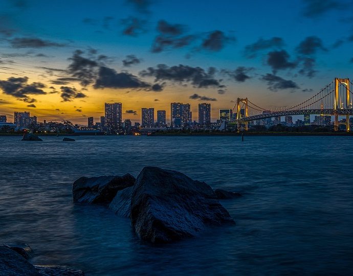 A Journey Through the Bright Lights of Tokyo