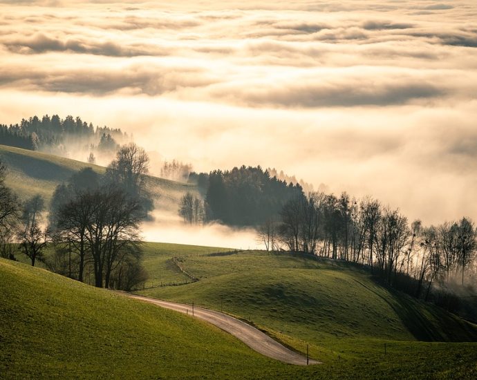 A Journey Through Austria: Discovering the Country's Rich History