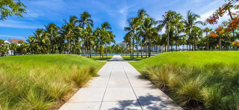 The Ultimate Guide to Exploring Miami