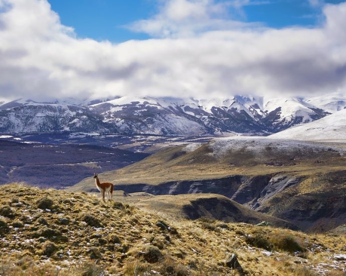 A Journey Through the Beauty of South America