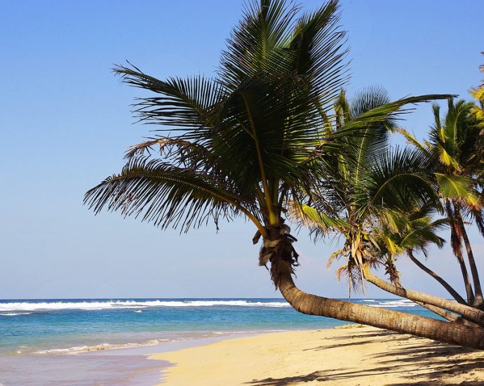 The Dominican Republic: A Place to Find Adventure and Relaxation