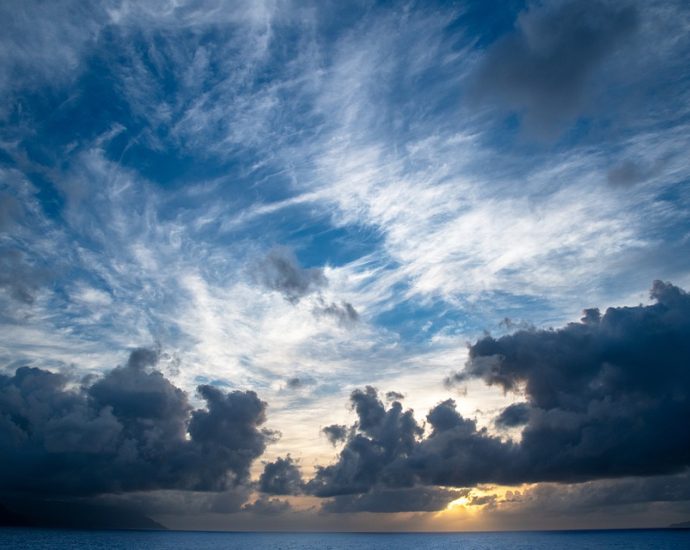 Celebrating the Rich Heritage of Polynesia