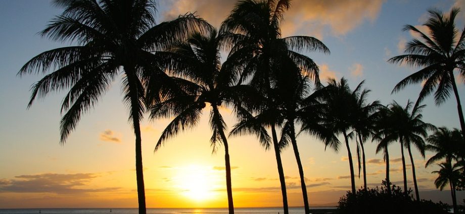 A Weekend Getaway to Honolulu: A Perfect Destination for Relaxation and Adventure