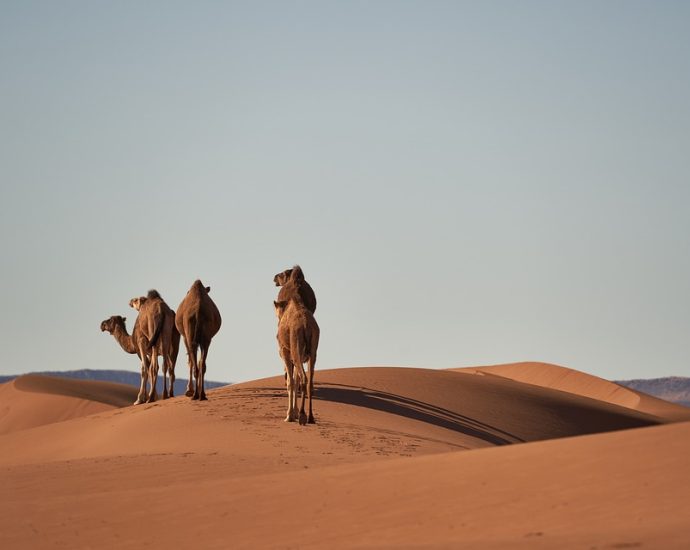 The Wonders of the Sahara Desert in Morocco