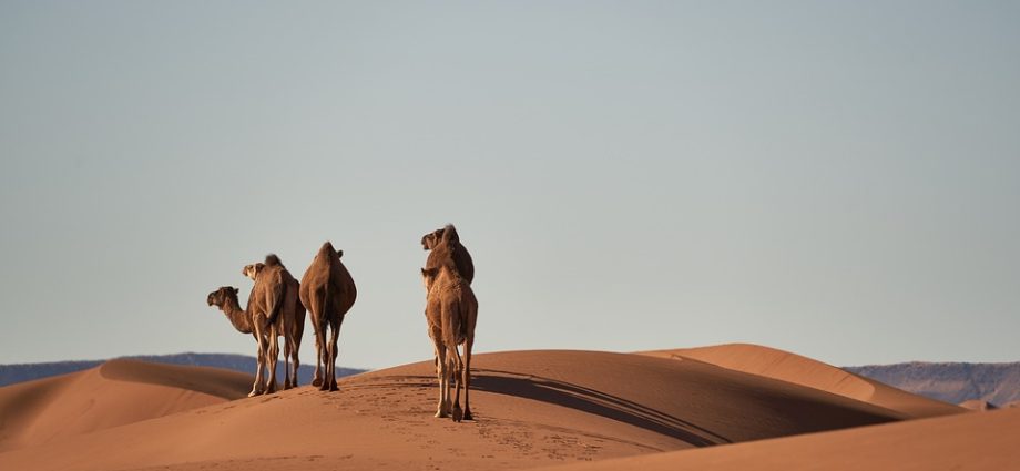 The Wonders of the Sahara Desert in Morocco